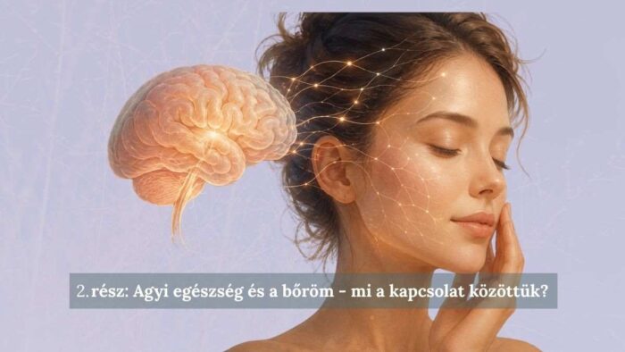 agy bor kapcsolata longevity